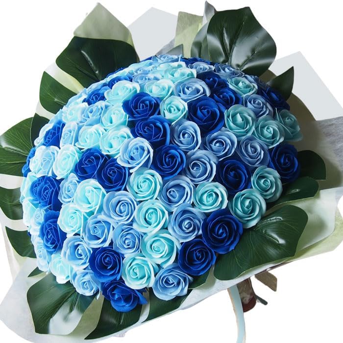 アロエハイブリッド Belfiore aloe hyb ネイビータグ株 かっこいい アロエハイブリッド Belfiore aloe hyb ネイビータグ株 かっこいい